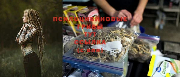 прущая мука Алзамай